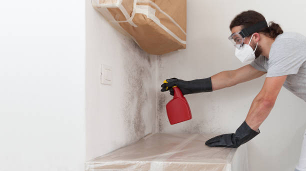 Professional Attic Mold Remediation technician working in Clarklake, MI