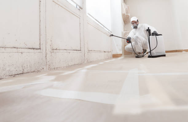 24/7 Emergency Attic Mold Remediation experts in Clarklake, MI